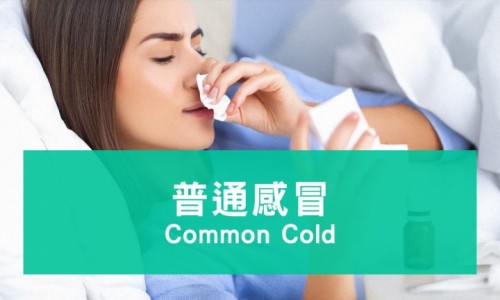 人流能吃鸡蛋糕吗-4个月流产后鸡蛋糕能吃吗网 :分享做完人流四个月可以喝酒么吗-4个月流产后鸡蛋糕能吃吗孕妇知识