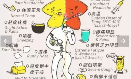 人流能吃鸡蛋糕吗-4个月流产后鸡蛋糕能吃吗网 :分享做完人流四个月可以喝酒么吗-4个月流产后鸡蛋糕能吃吗孕妇知识